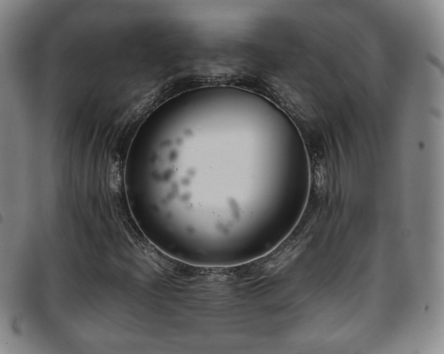 X0000097821204200803141133