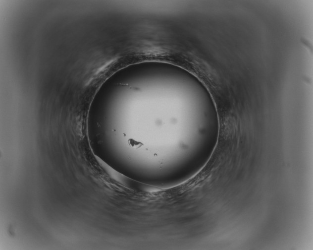 X0000097821205200803141133