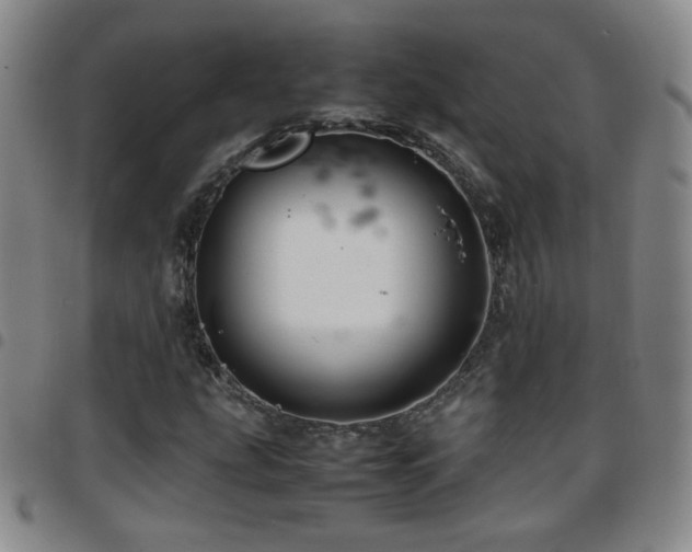 X0000097821207200803141133