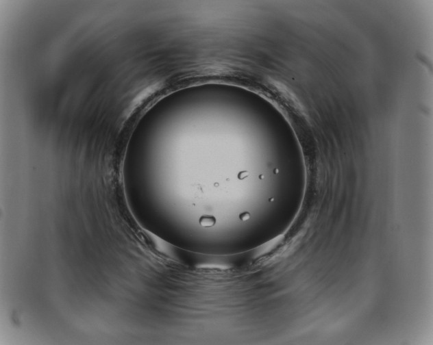 X0000097821210200803141133