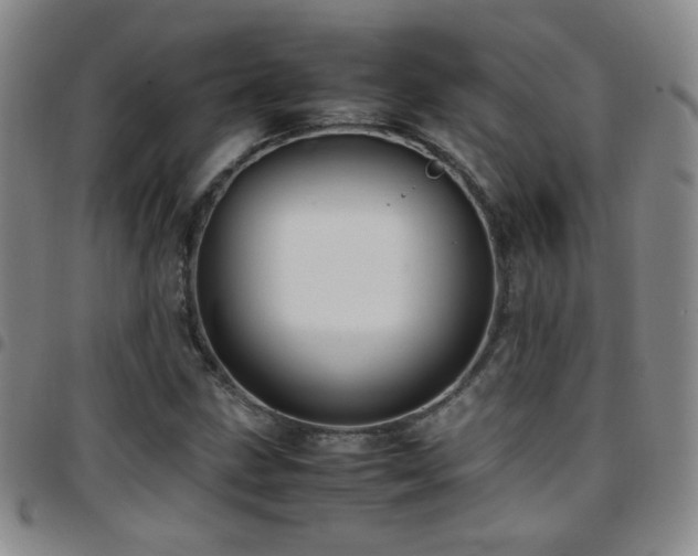 X0000097821211200803141133