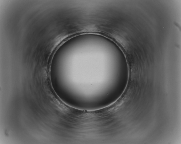 X0000097821212200803141133