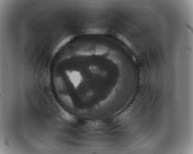 X0000097821213200803141133