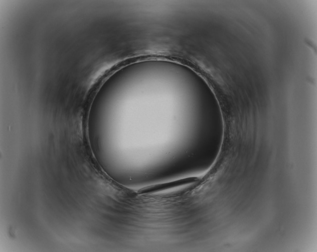 X0000097821214200803141133