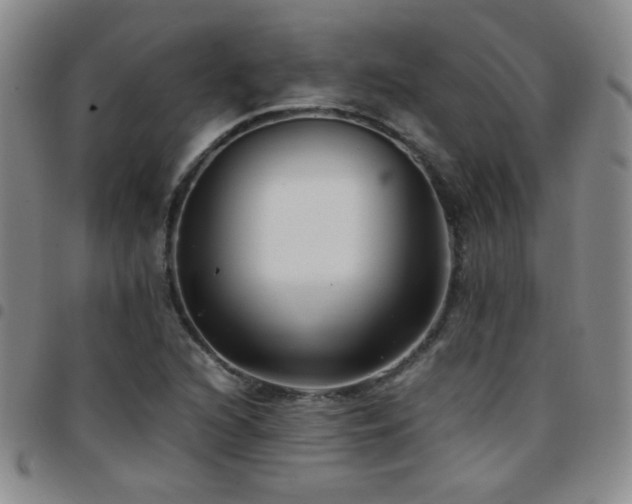 X0000097821216200803141133