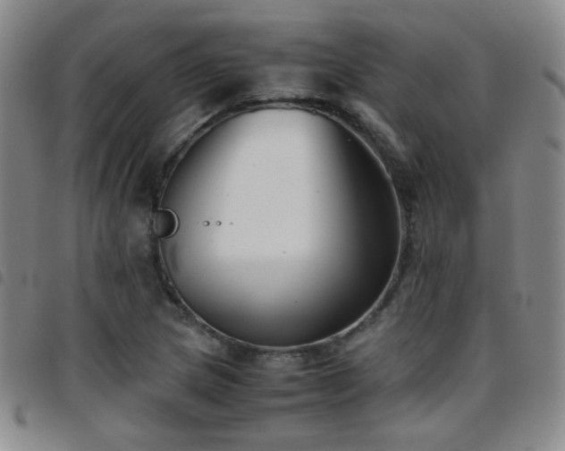 X0000097821217200803141133