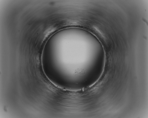 X0000097821218200803141133