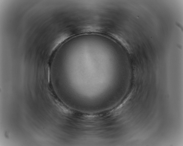 X0000097821219200803141133