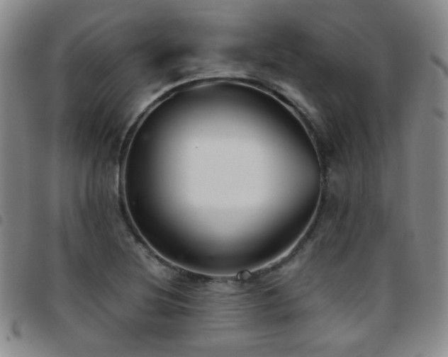 X0000097821220200803141133