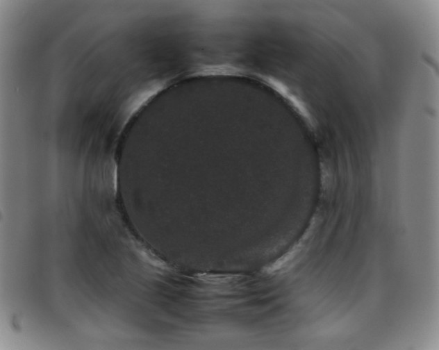 X0000097821221200803141133