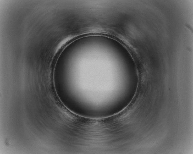 X0000097821222200803141133