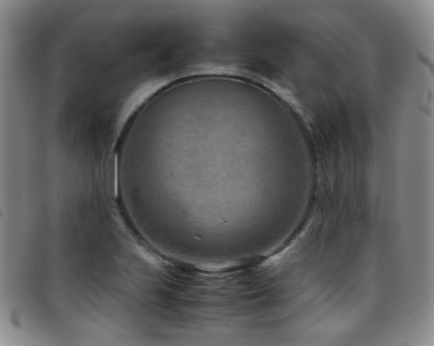 X0000097821223200803141133