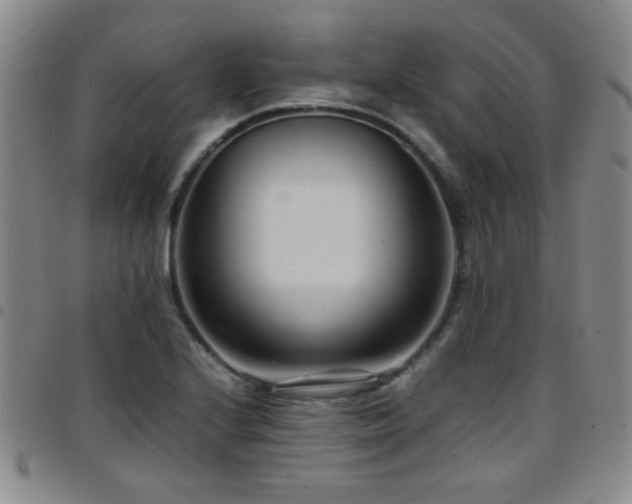 X0000097821224200803141133
