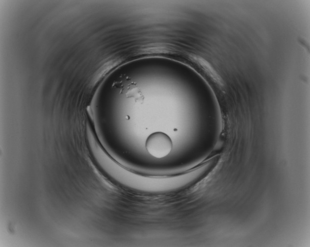 X0000097821225200803141133