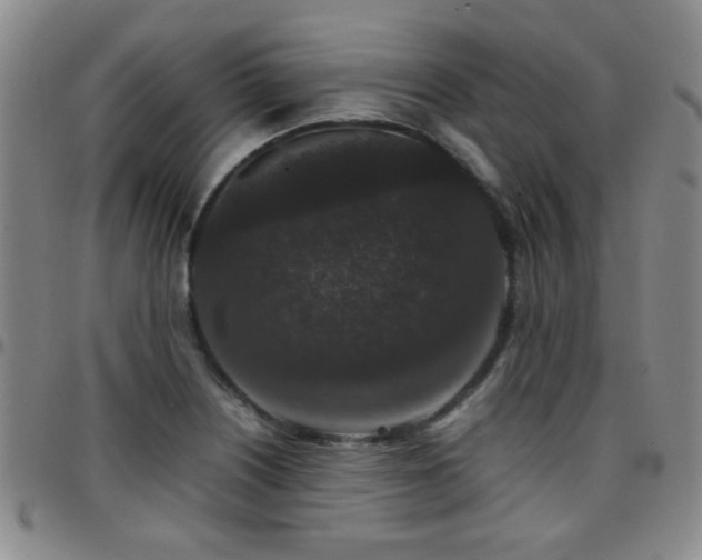 X0000097821226200803141133