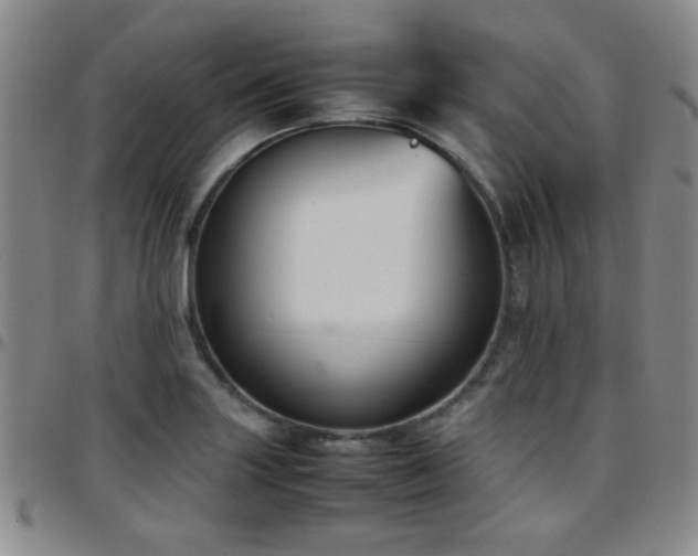 X0000097821227200803141133