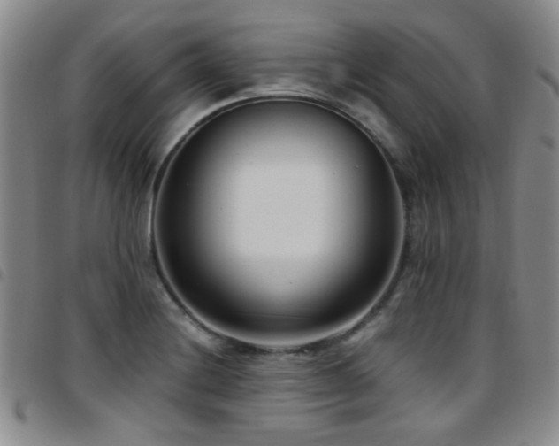 X0000097821228200803141133