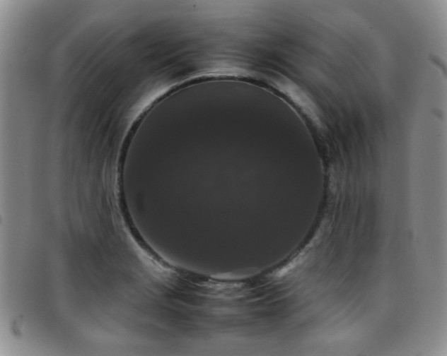 X0000097821229200803141133