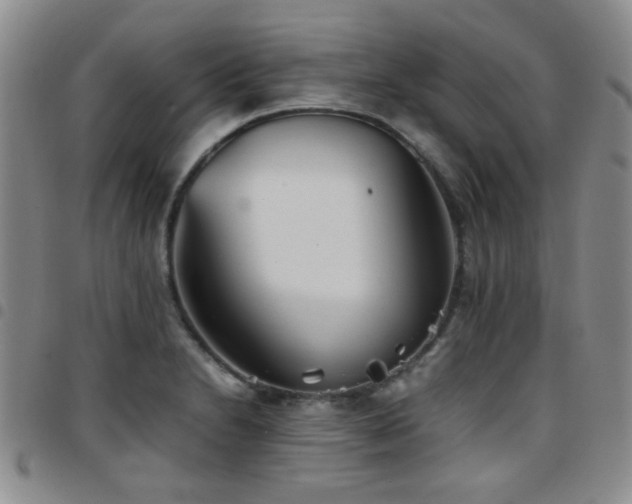 X0000097821230200803141133