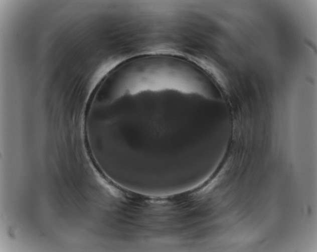 X0000097821231200803141133