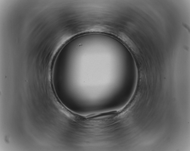 X0000097821232200803141133