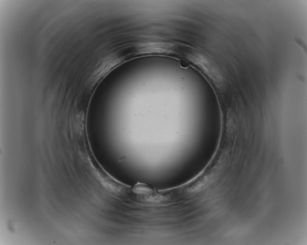 X0000097821233200803141133