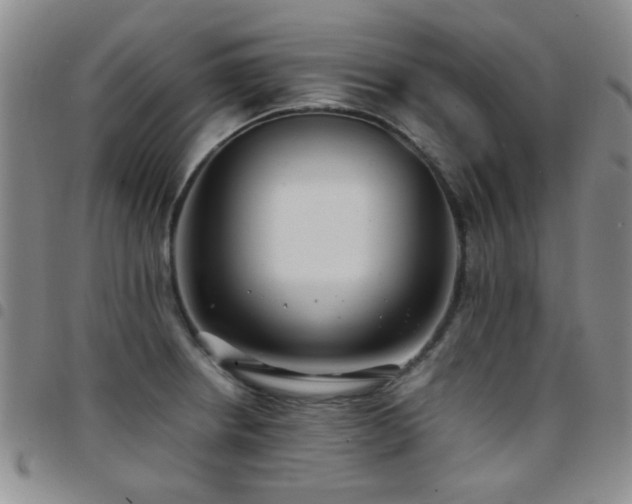 X0000097821234200803141133