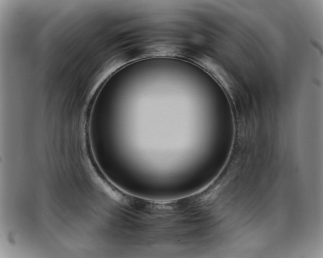 X0000097821235200803141133