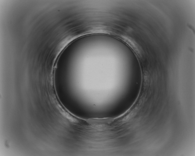 X0000097821236200803141133