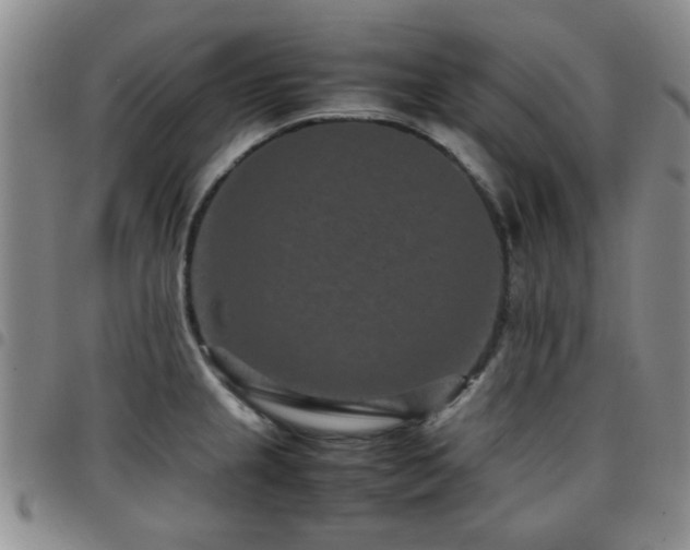 X0000097821237200803141133