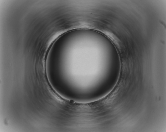 X0000097821238200803141133