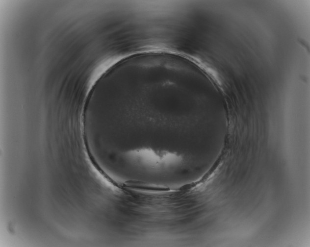 X0000097821239200803141133