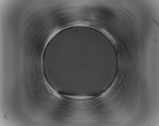 X0000097821240200803141133