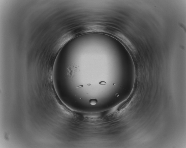 X0000097821241200803141133