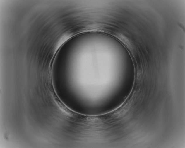 X0000097821242200803141133