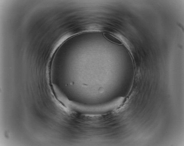 X0000097821243200803141133