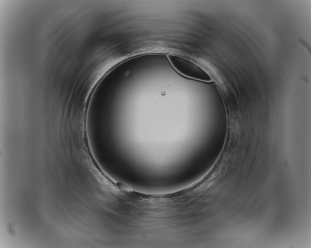 X0000097821244200803141133