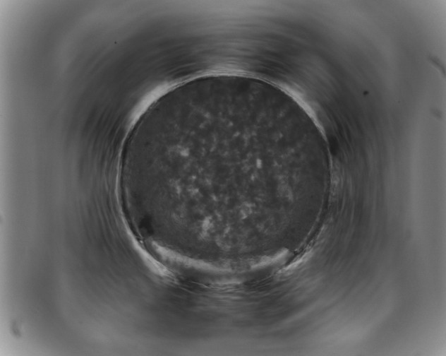 X0000097821245200803141133