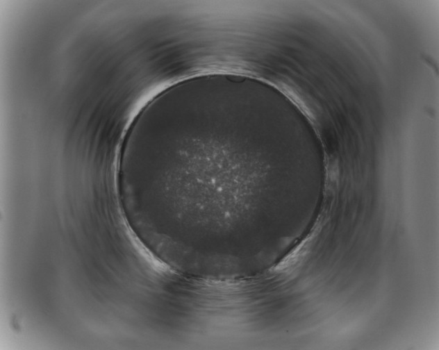 X0000097821246200803141133