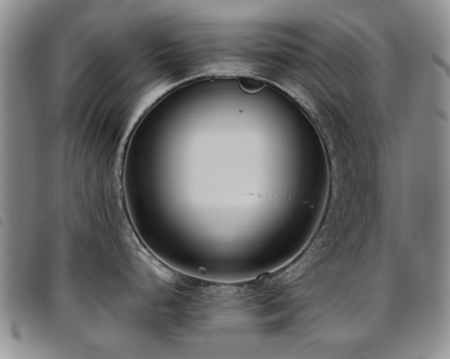 X0000097821248200803141133