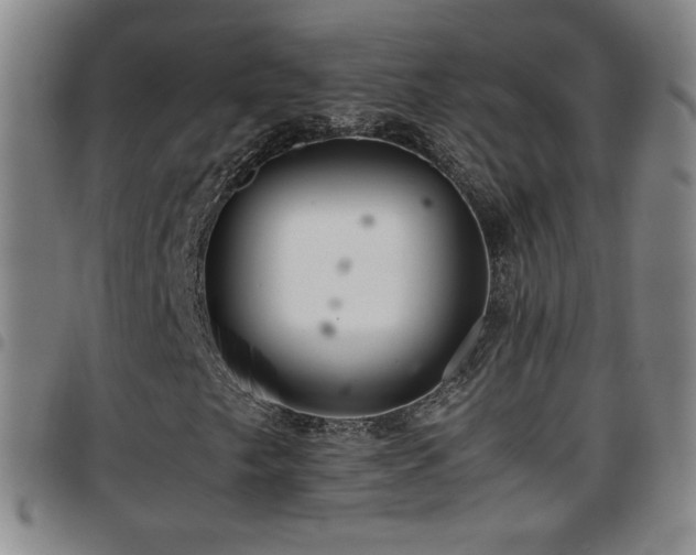 X0000097821249200803141133