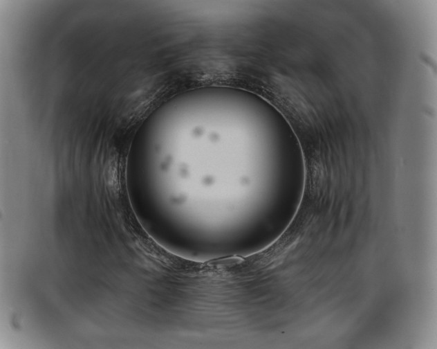 X0000097821250200803141133