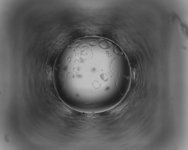 X0000097821251200803141133