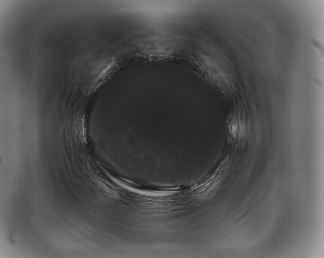 X0000097821252200803141133