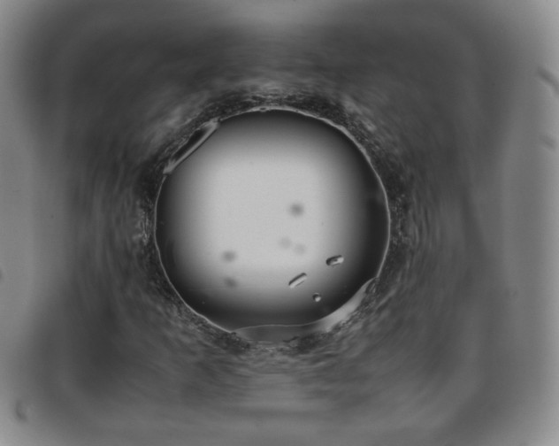 X0000097821253200803141133