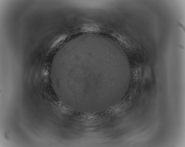 X0000097821254200803141133