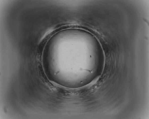 X0000097821255200803141133