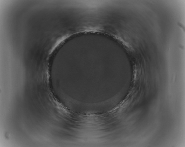 X0000097821256200803141133