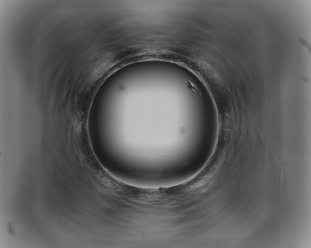 X0000097821257200803141133