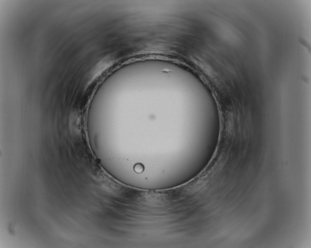 X0000097821258200803141133